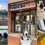 苗栗【Could be café 庫比咖啡】-聯大店｜美式校園輕食餐廳｜聚餐好選擇