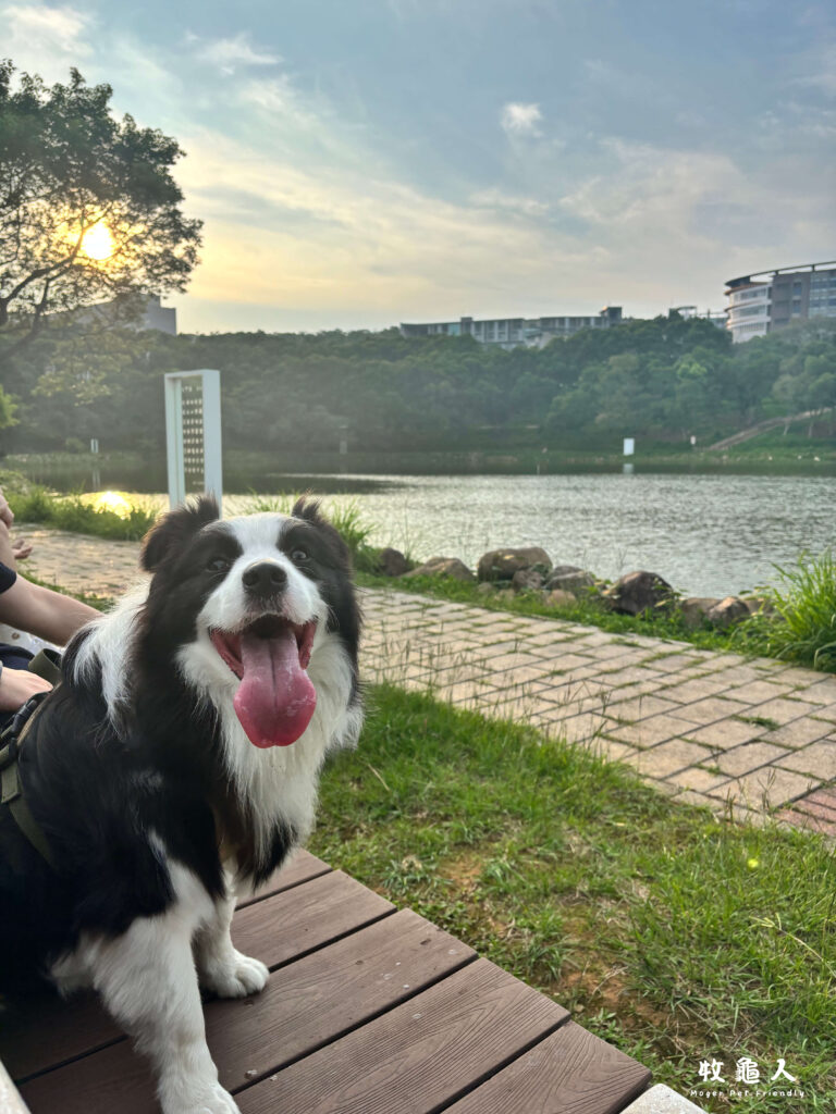 苗栗文學步道&聯大大學湖