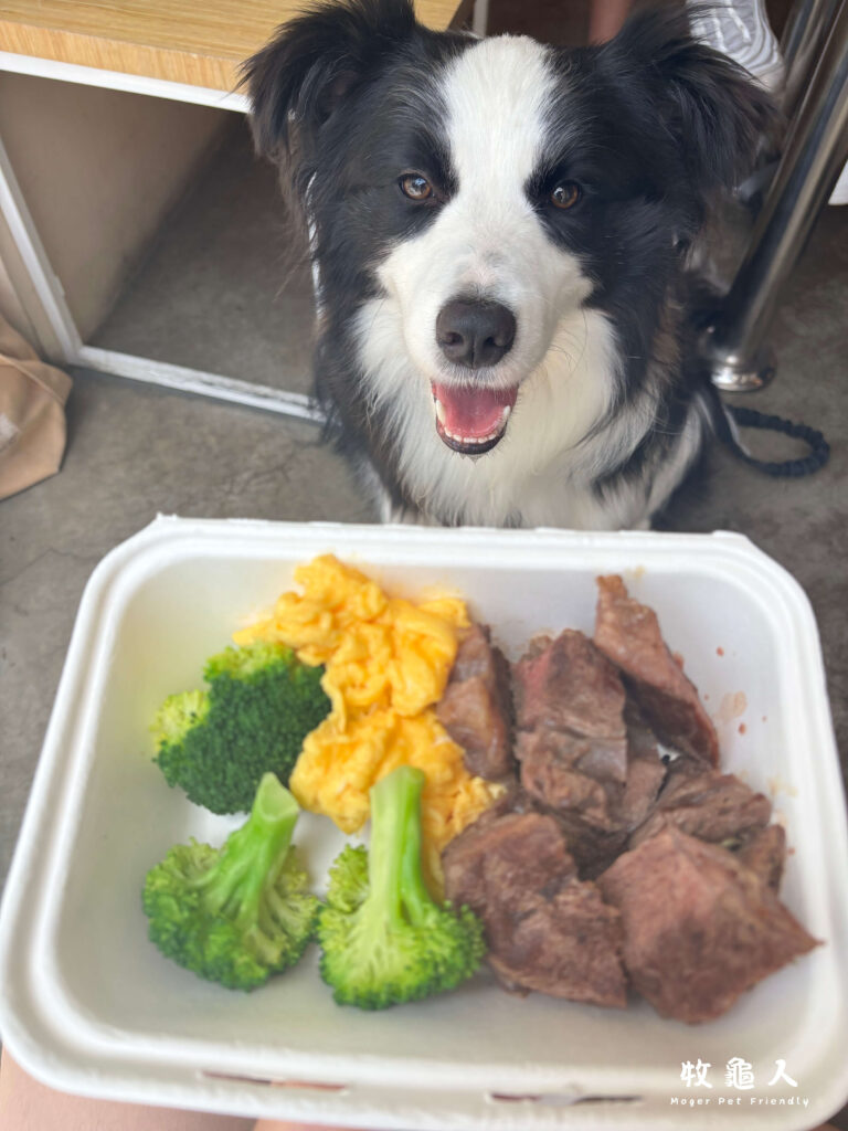 新竹【TABLE JOE 喬桌子廚房 】-寵物餐點