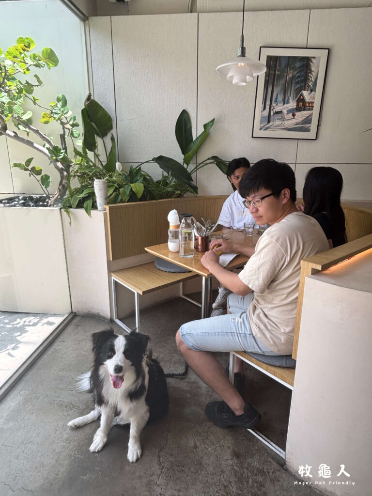 新竹【TABLE JOE 喬桌子廚房 】-環境