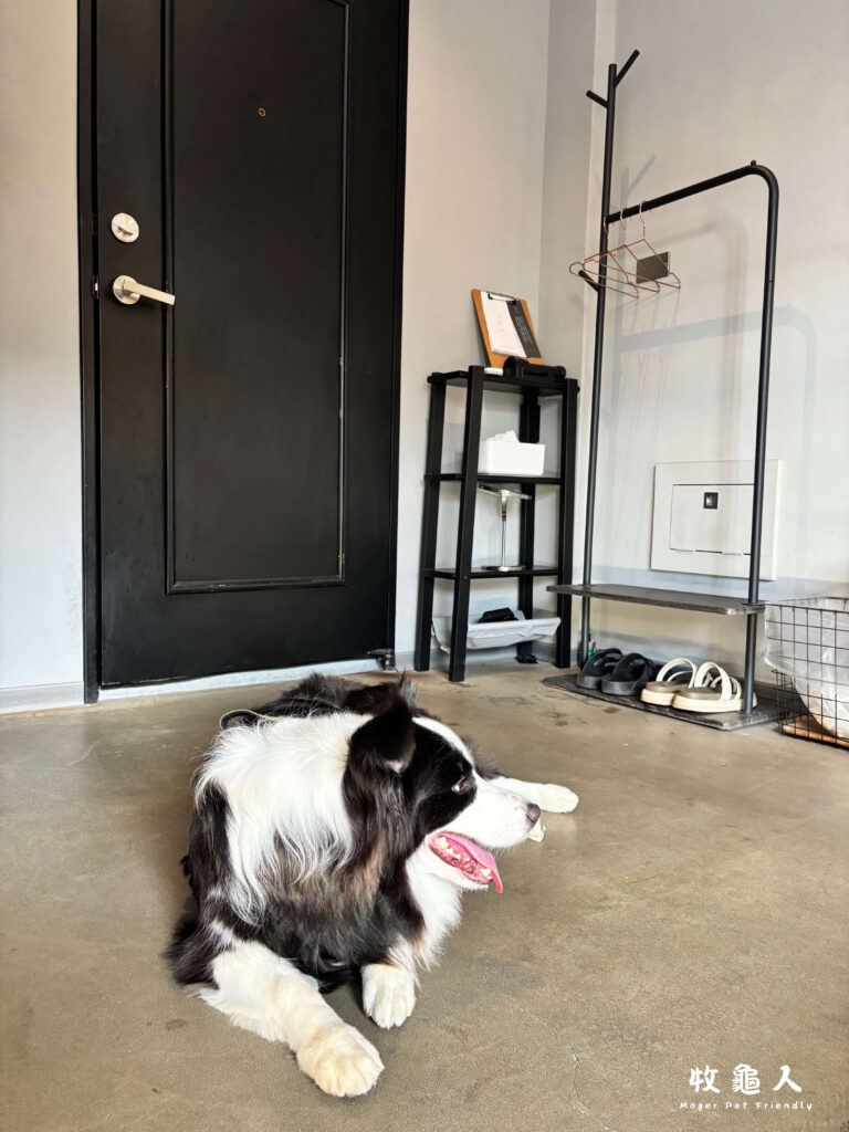 基隆【粼島旅宿 Spangle Inn 】-海洋海景雙人房