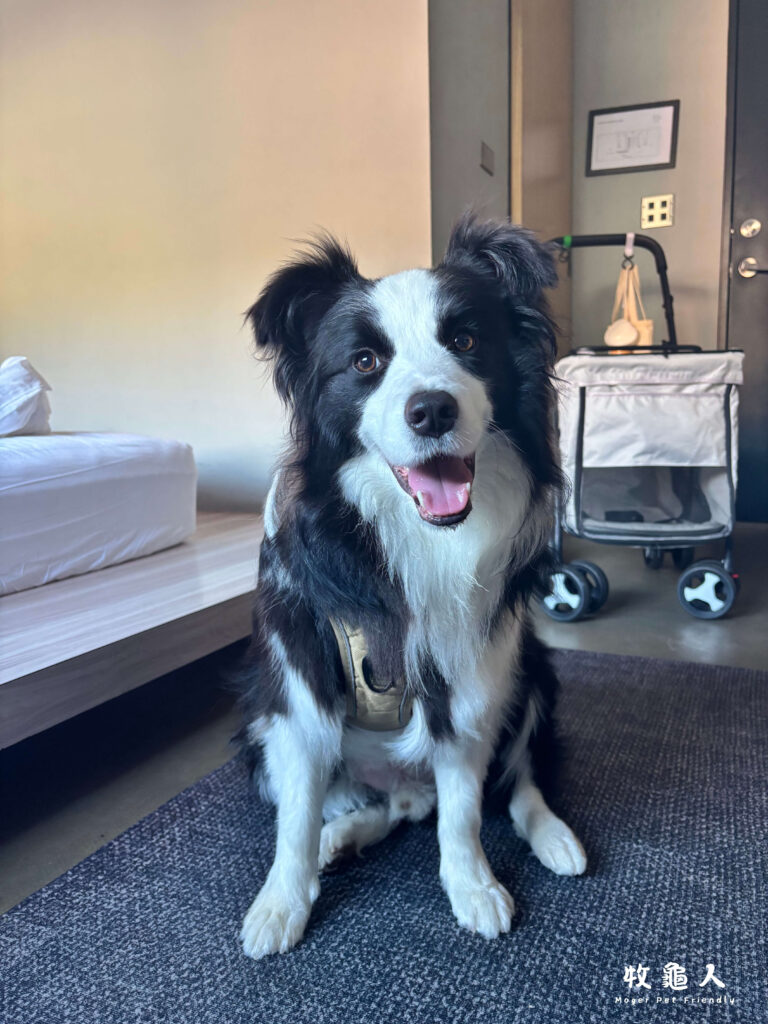 基隆【粼島旅宿 Spangle Inn 】-海洋海景雙人房