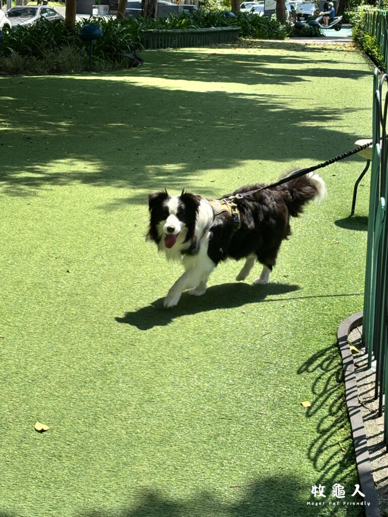 隆恩圳親水公園