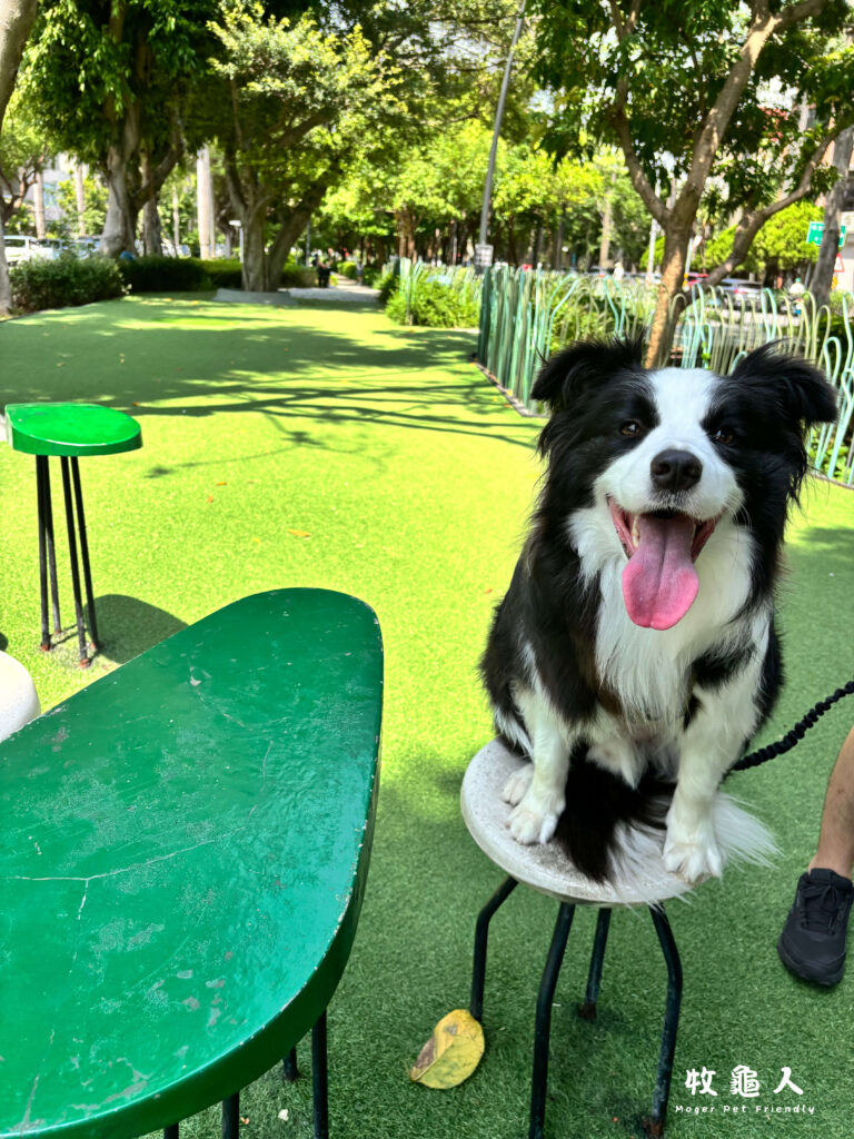 隆恩圳親水公園