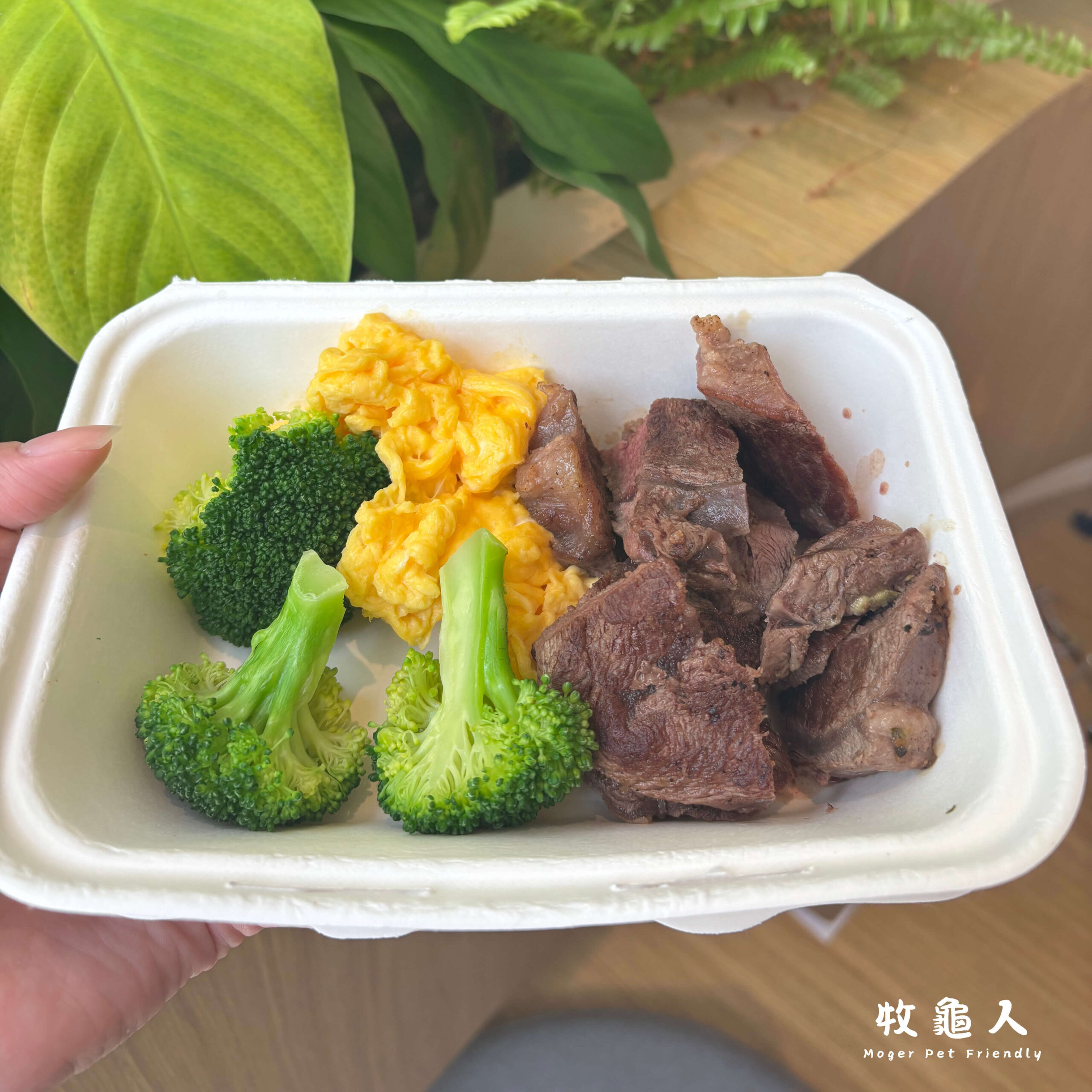 新竹【TABLE JOE 喬桌子廚房 】-寵物餐點