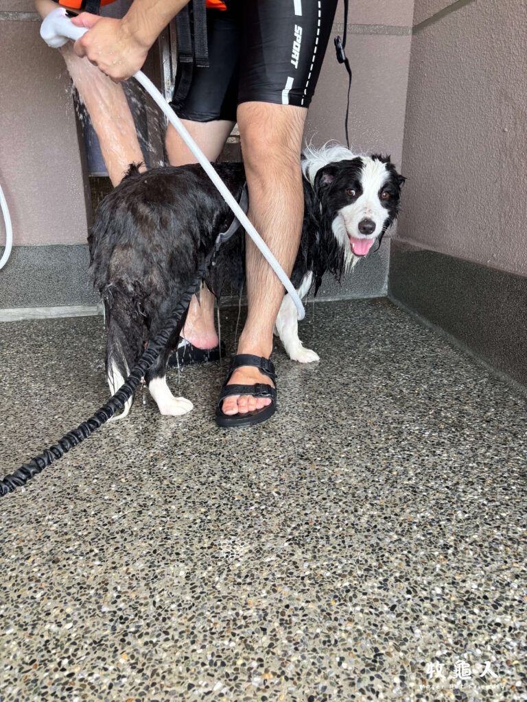 基隆【和平島地質公園】-寵物友善水池