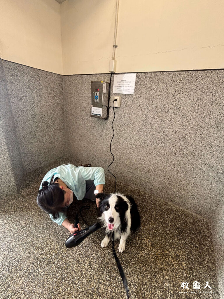 基隆【和平島地質公園】-寵物友善水池