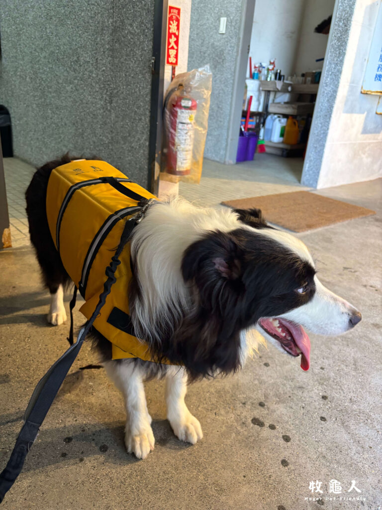 基隆【和平島地質公園】-遊客中心