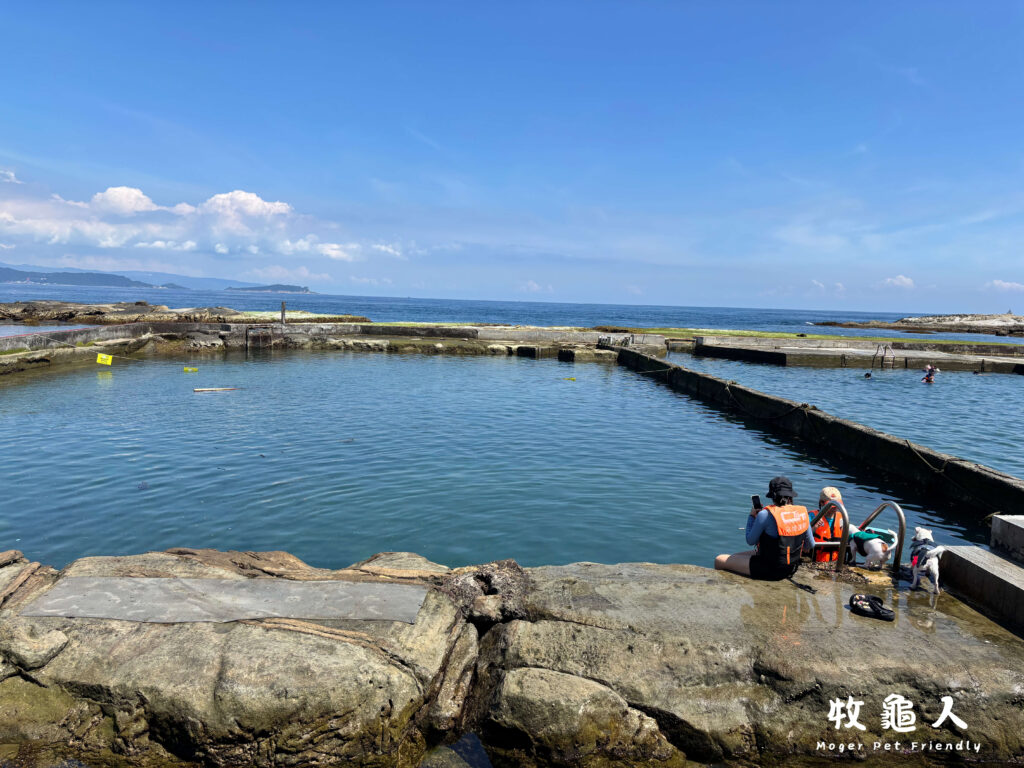 基隆【和平島地質公園】-寵物友善水池