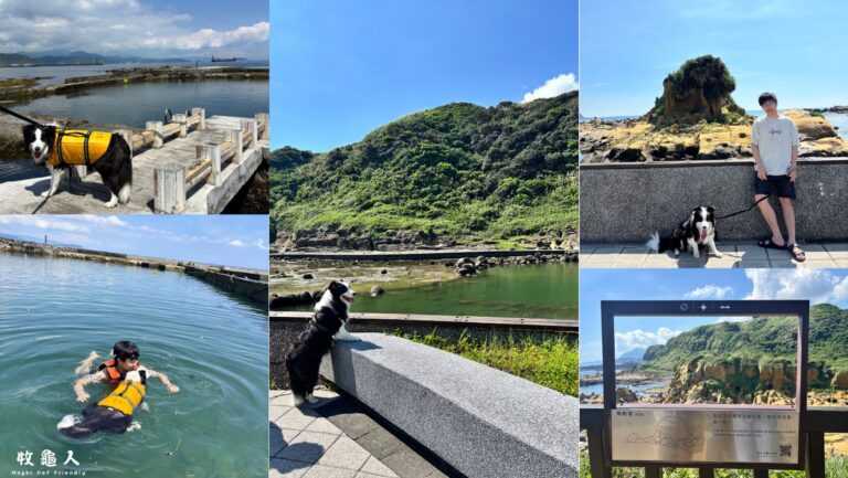 基隆【和平島地質公園】寵物友善公園｜天然海水池｜世界級秘境