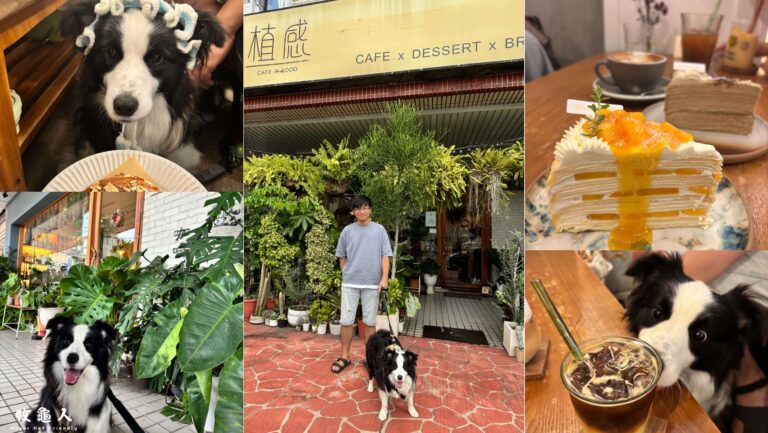 苗栗【植感咖啡_Botanical Café】森林系質感｜手工千層蛋糕｜綠植風咖啡廳